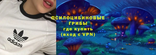 амф Аркадак