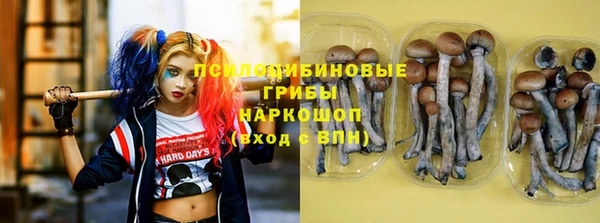 spice Арсеньев