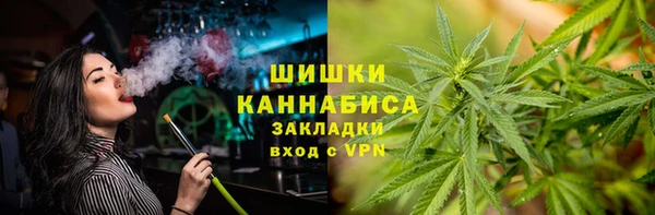 spice Арсеньев